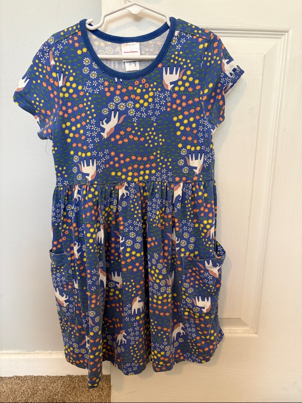 Hanna Andersson Blue Floral & Animal Pocket Dress